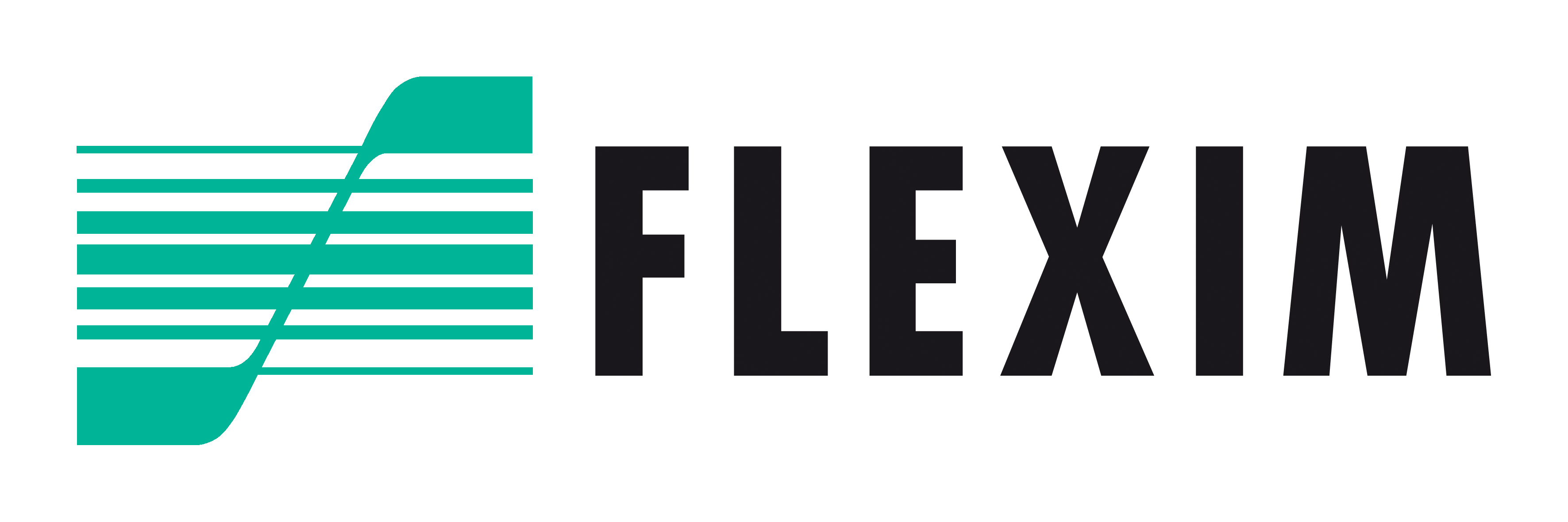Referenz FLEXIM Logo