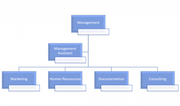 Hierarchical organization